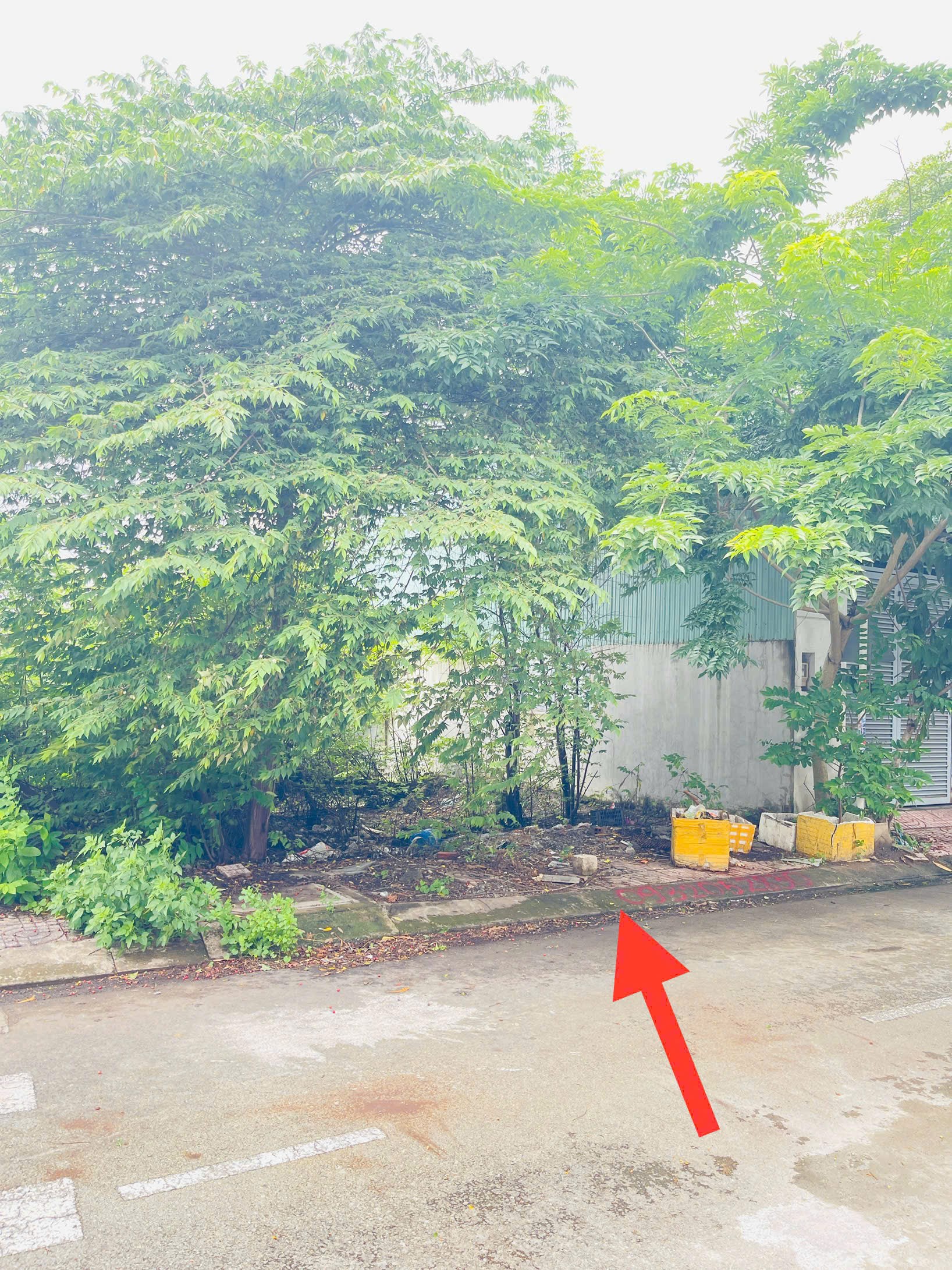 Cần bán Đất Quận 9, Hồ Chí Minh, Diện tích 104m², Giá Thương lượng