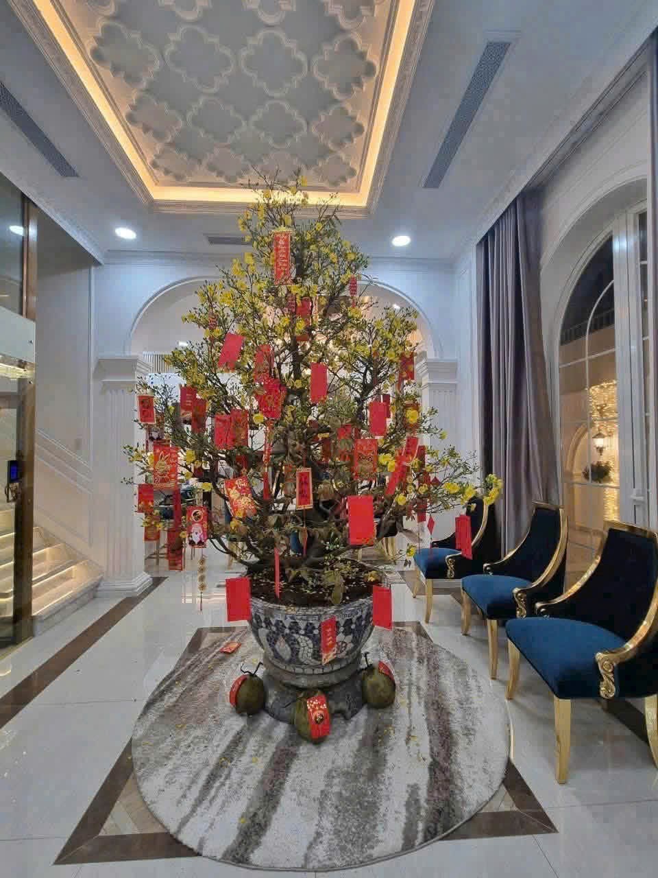 Cần bán Biệt thự Phường 13, Bình Thạnh, Diện tích 200m², Giá 37 Tỷ 10