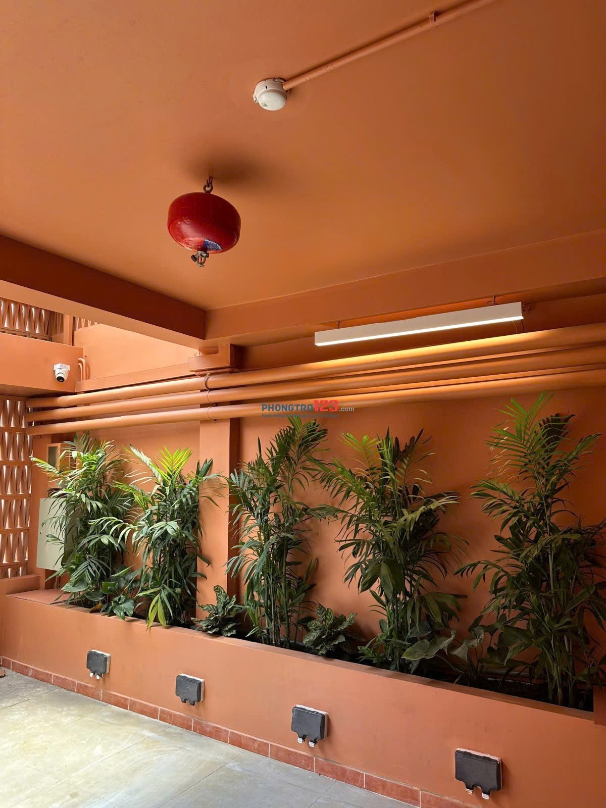 Cần bán Nhà mặt tiền Quận 2, Hồ Chí Minh, Diện tích 273m², Giá 45.7 Tỷ 15