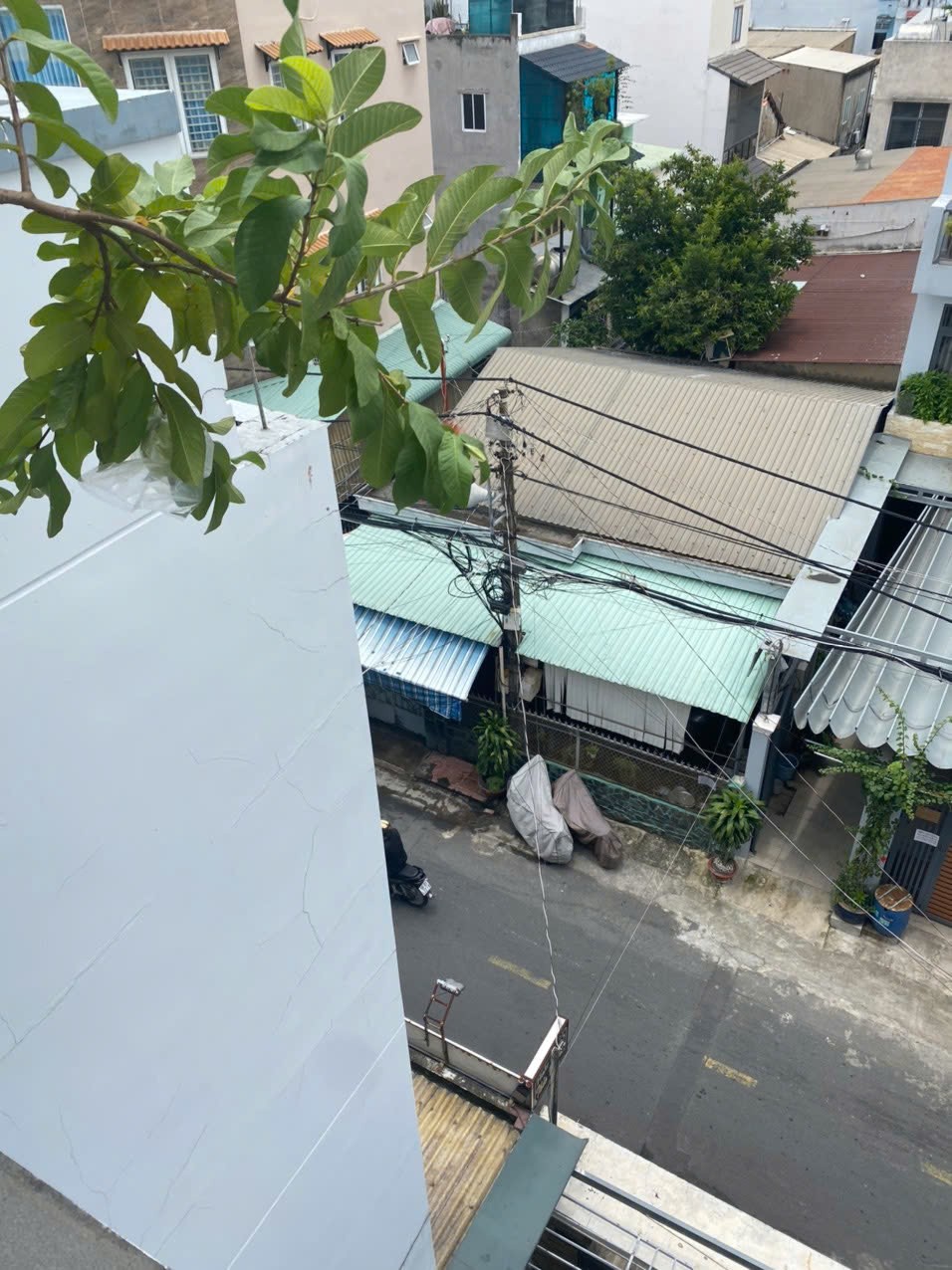 Cần bán Nhà mặt tiền Phường Bình Thọ, Thủ Đức, Diện tích 118m², Giá Thương lượng 4