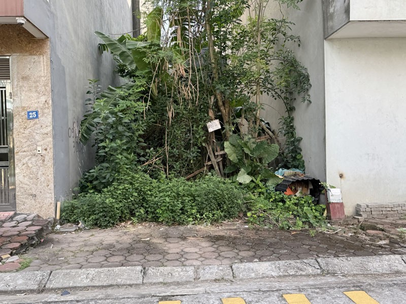Bán Đất TĐC Giang Biên - Việt Hưng 40m2, MT 4m Khu Phân Lô, Đường Ô Tô Tránh 3