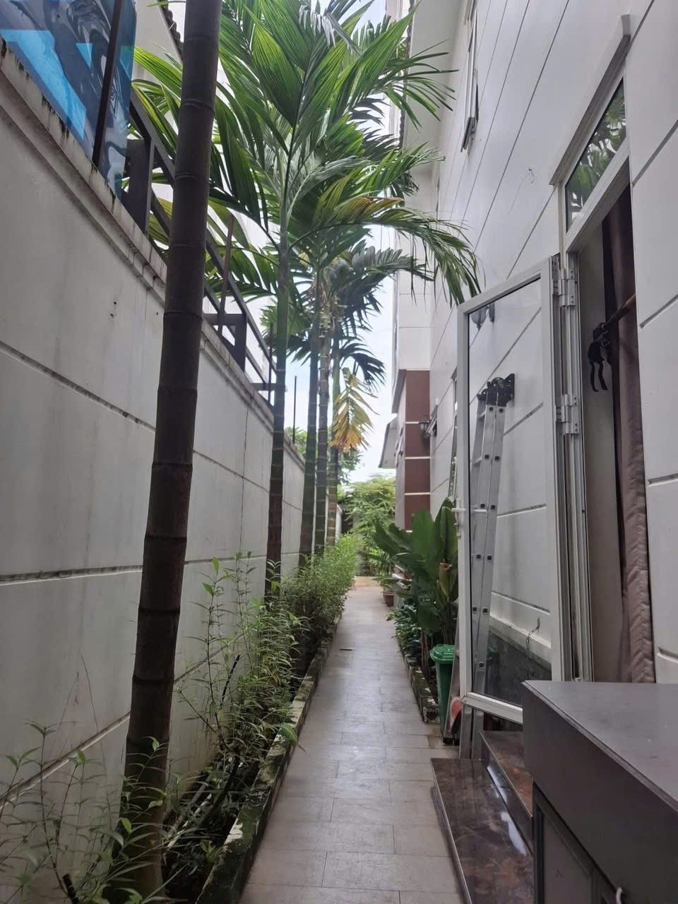 Cần bán Biệt thự Phường Phước Long B, Quận 9, Diện tích 310m², Giá 45 Tỷ