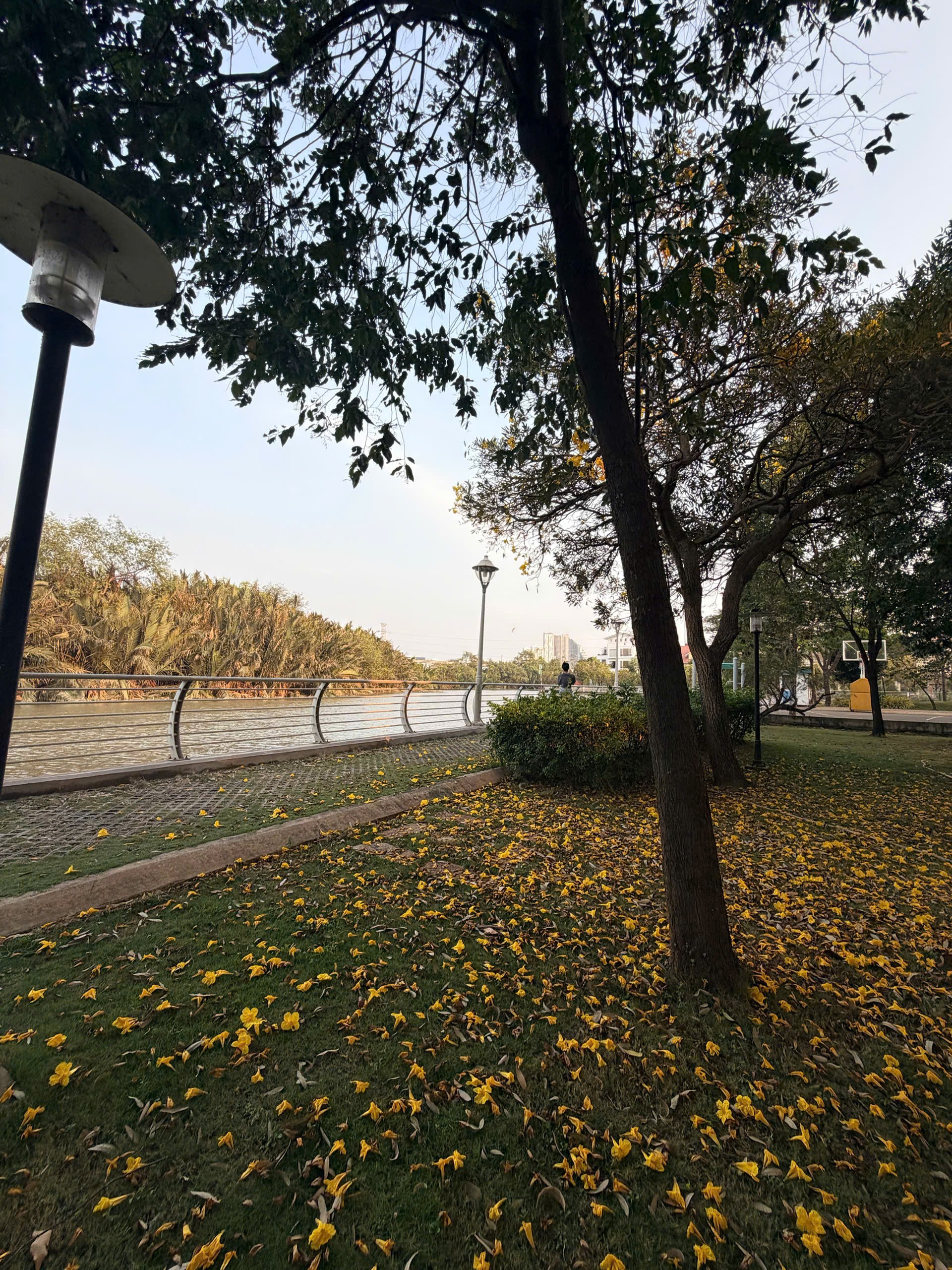 Cho thuê Biệt thự Quận 7, Hồ Chí Minh, Diện tích 200m², Giá 120 Triệu/tháng 13