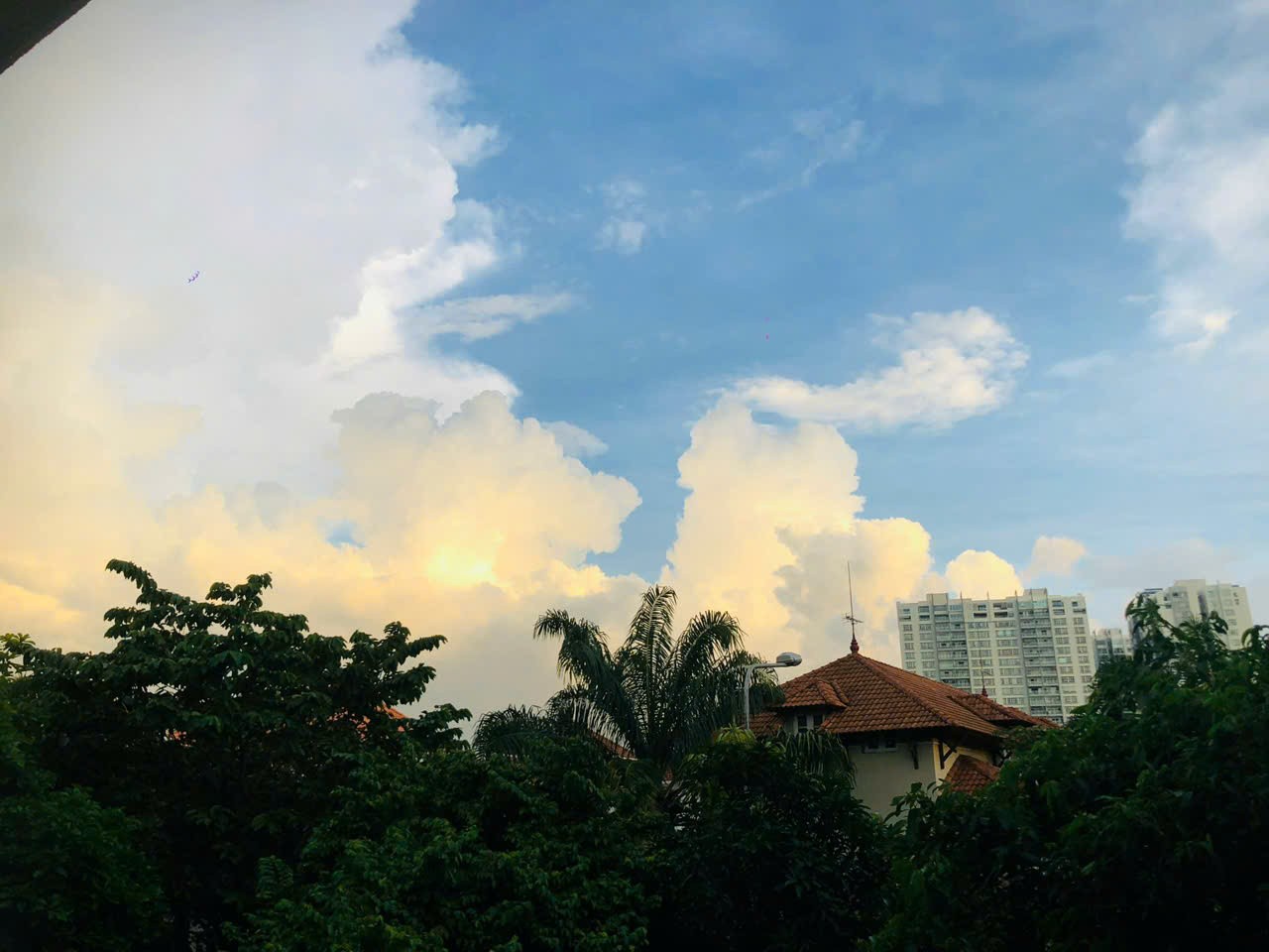 Cho thuê Nhà mặt tiền Phường Thảo Điền, Quận 2, Diện tích 570m², Giá Thương lượng 11
