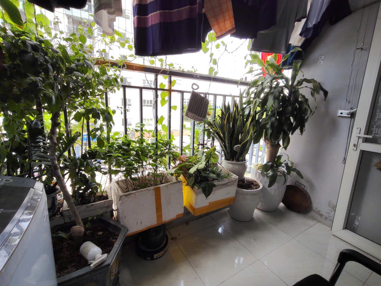 Chủ Nhà Bán Gấp Căn 72m² 2pn, Giá Chỉ 2,7x Tỷ 4