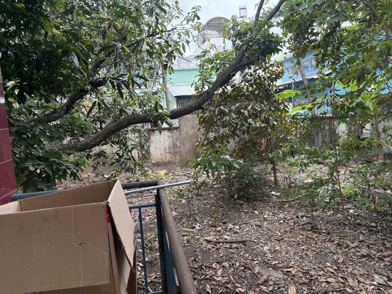 Cần bán Đất Phường Linh Xuân, Thủ Đức, Diện tích 1500m², Giá 42 Triệu/m² 3