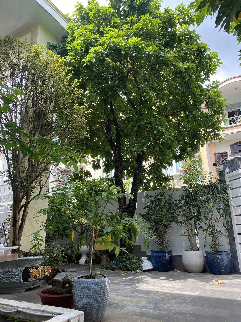 Cần bán Nhà mặt tiền Phường An Khánh, Quận 2, Diện tích 212m², Giá 060 Tỷ 3