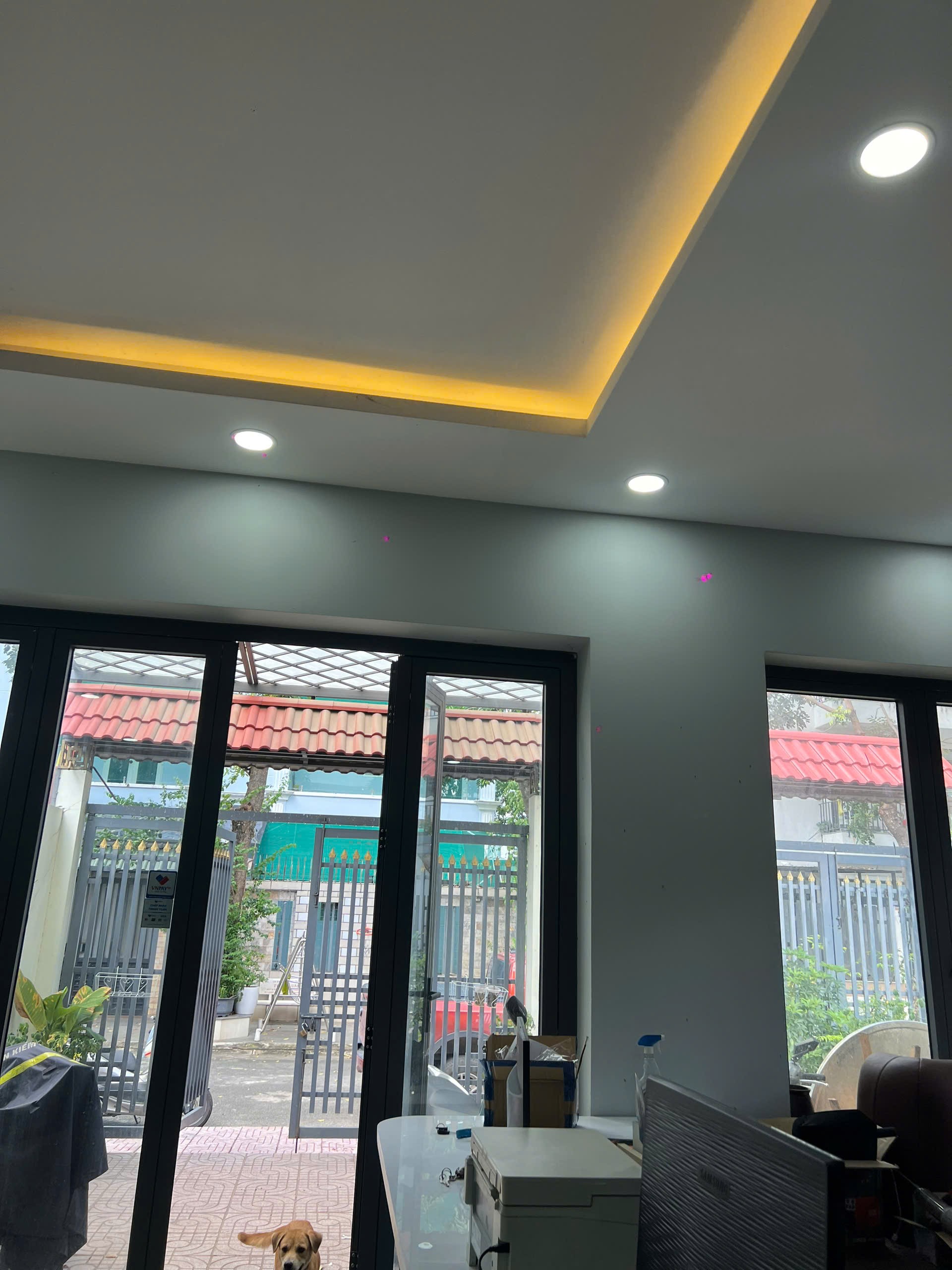 Cần bán Biệt thự Phường Phú Hữu, Quận 9, Diện tích 168m², Giá 16.9 Tỷ 13