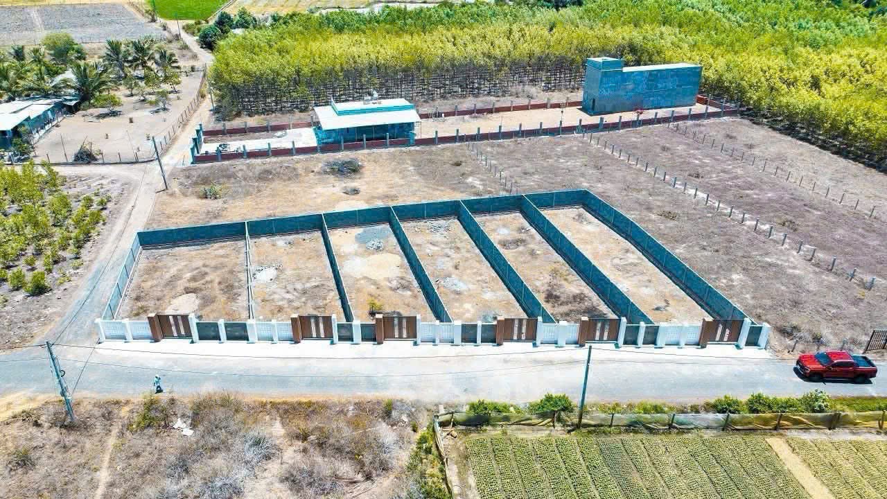 CHỦ NGỘP CẦN BÁN GẤP ĐẤT ĐẸP TRUNG TÂM PHƯỚC HẢI - ĐẤT ĐÃ XÂY RÀO KIÊN CỐ 3
