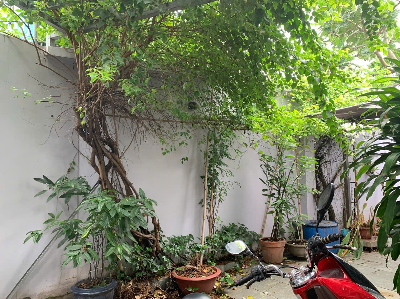 Cần bán Biệt thự Phường Linh Đông, Thủ Đức, Diện tích 140m², Giá 11.1 Tỷ 3