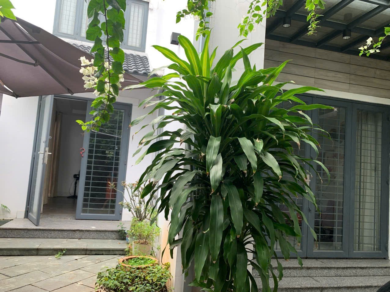 Cần bán Biệt thự Phường Linh Đông, Thủ Đức, Diện tích 140m², Giá 11.1 Tỷ 4