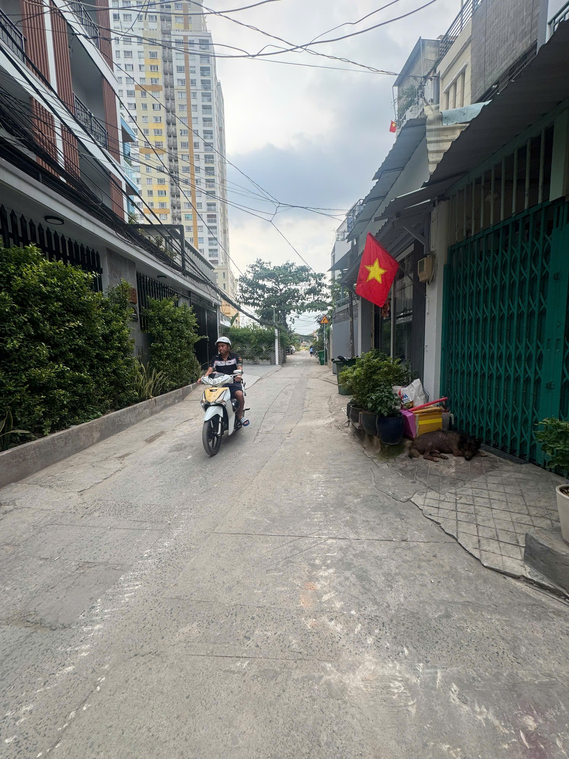 Cần bán Đất Quận 2, Hồ Chí Minh, Diện tích 191m², Giá 38 Tỷ 4