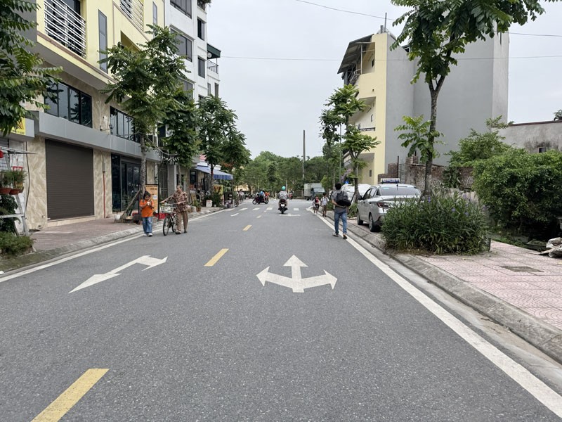 Chính Chủ Bán Đất Hoa Động Cự Khối 50m2 - Ngay Cầu Thanh Trì, Tiện Ích Ngập Tràn 3