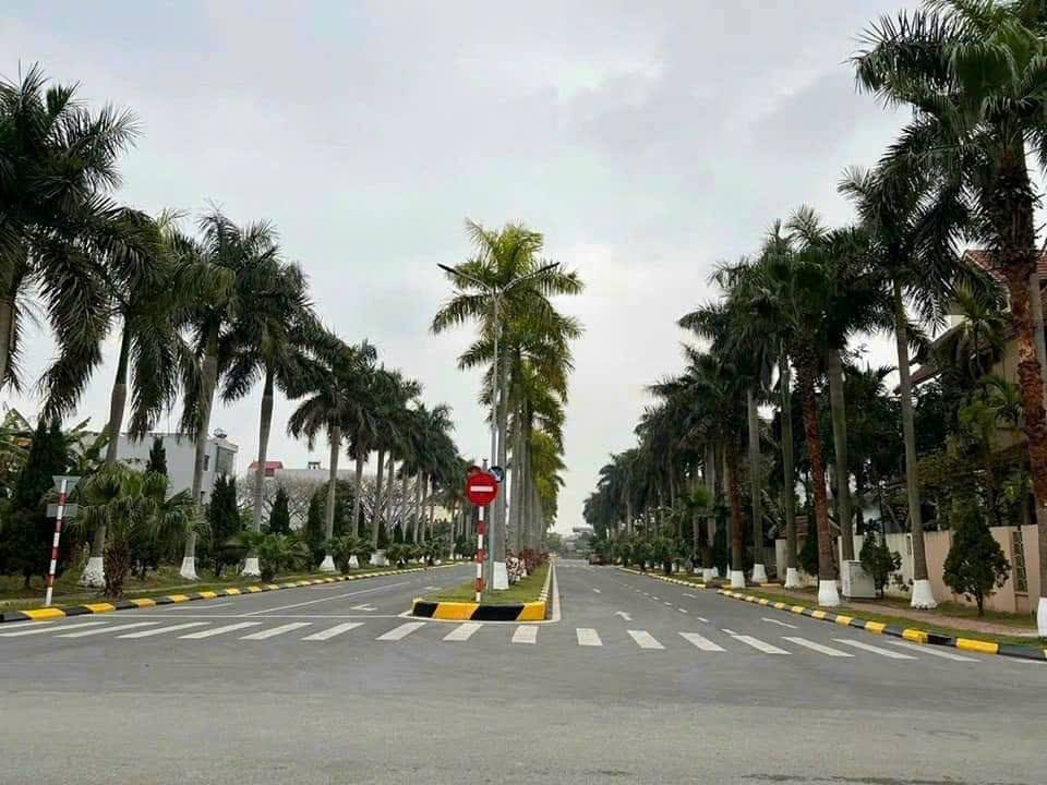 Biệt thự KCN Đại An Tứ Minh 300m2 mặt 17.65m đường đôi giá đầu tư 5