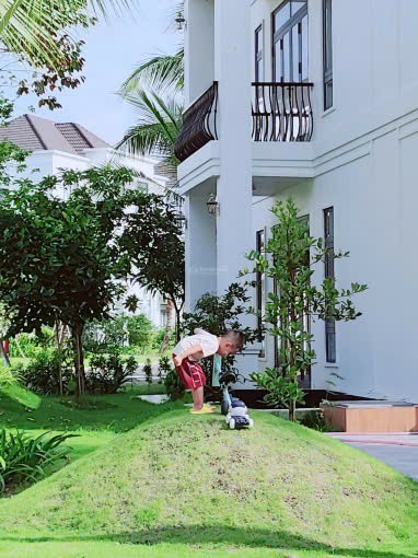 Cần bán Biệt thự Xã Tân Mỹ, Đức Hòa, Diện tích 84m², Giá Thương lượng 4