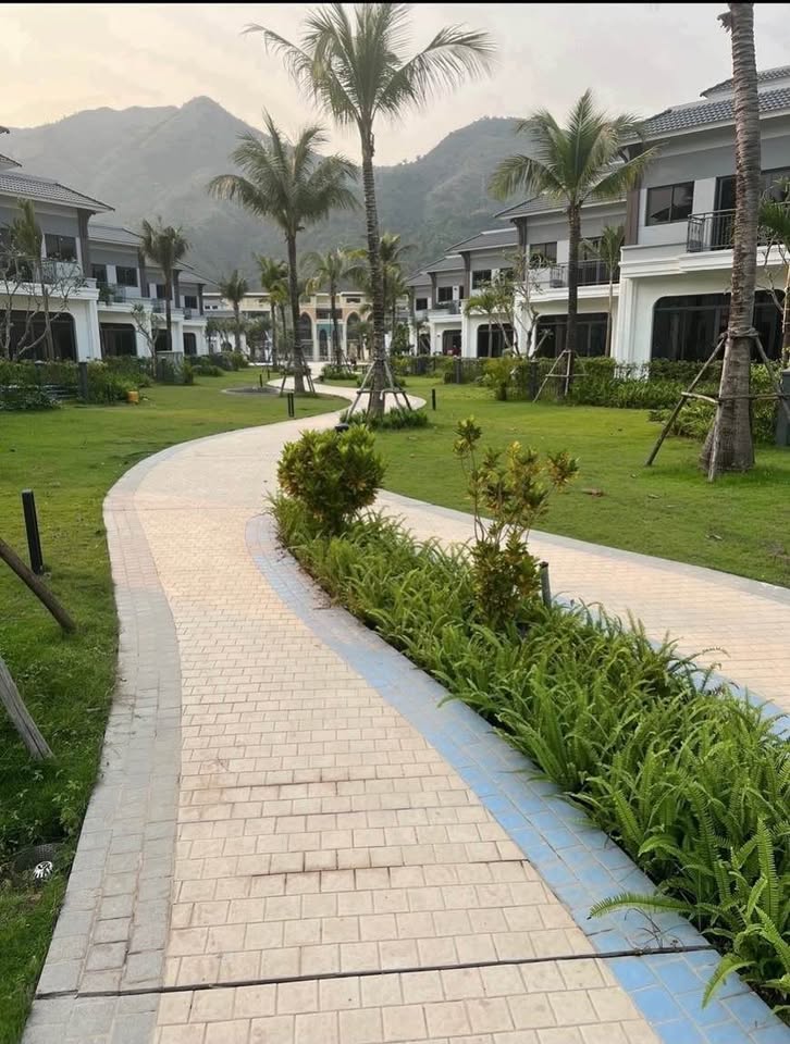 Chính chủ ở xa, cần bán biệt thự biển 2,5 tầng Đơn lập 160m2 tại sonasea vân đồn Quảng ninh 5