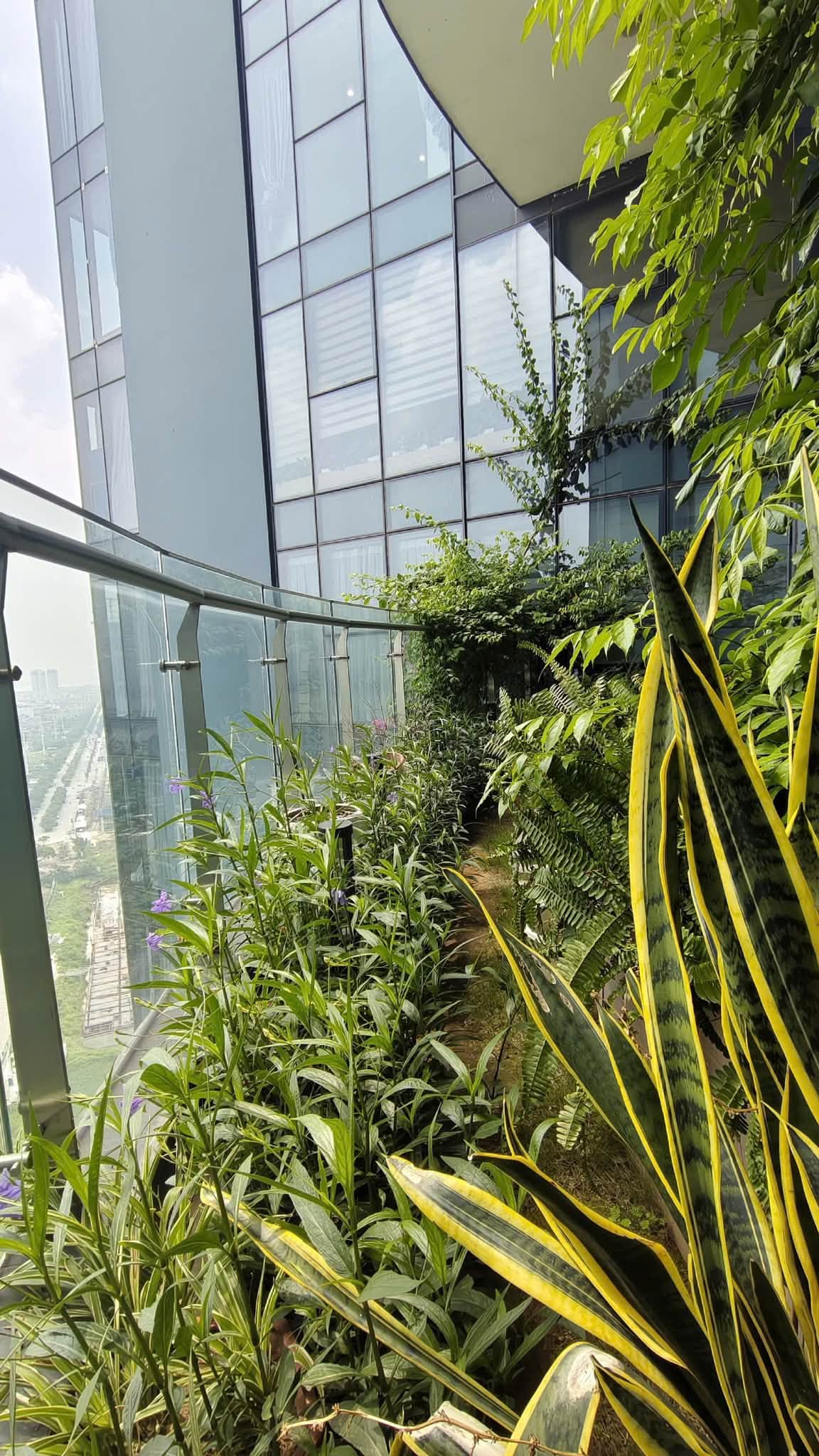 Bán căn hộ 3PN Sunshine City S3  117.6m²  Tầng cao  View sông Hồng  Chỉ 13.9 tỷ 2