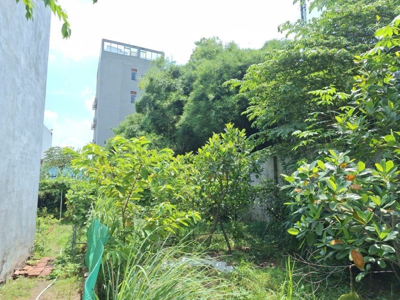 Bán gấp nhà vườn 660m2 , đường 182, Tăng Nhơn Phú A, Q9. Thủ Đức, TP HCM. Giá 18.3 tỷ. 5