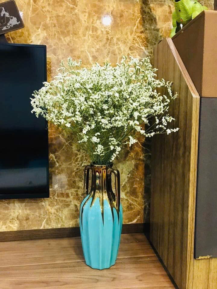 Cần bán Căn hộ chung cư dự án Ecolife Capitol, Diện tích 103m², Giá 8.9 Tỷ 10