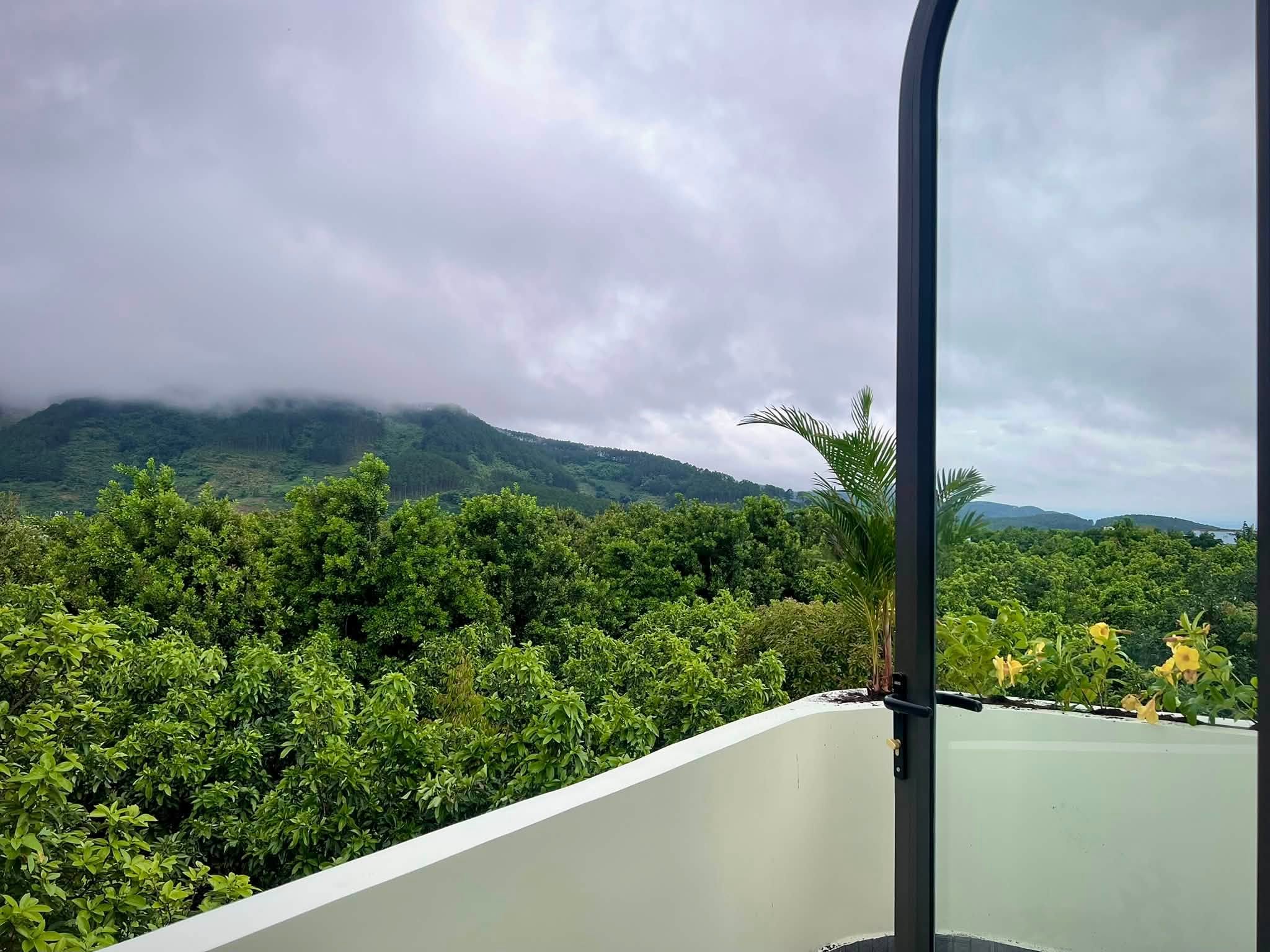 Cần bán Biệt thự đường Tỉnh lộ 725, Xã Đông Thanh, Diện tích 140m², Giá 2.95 Tỷ 9