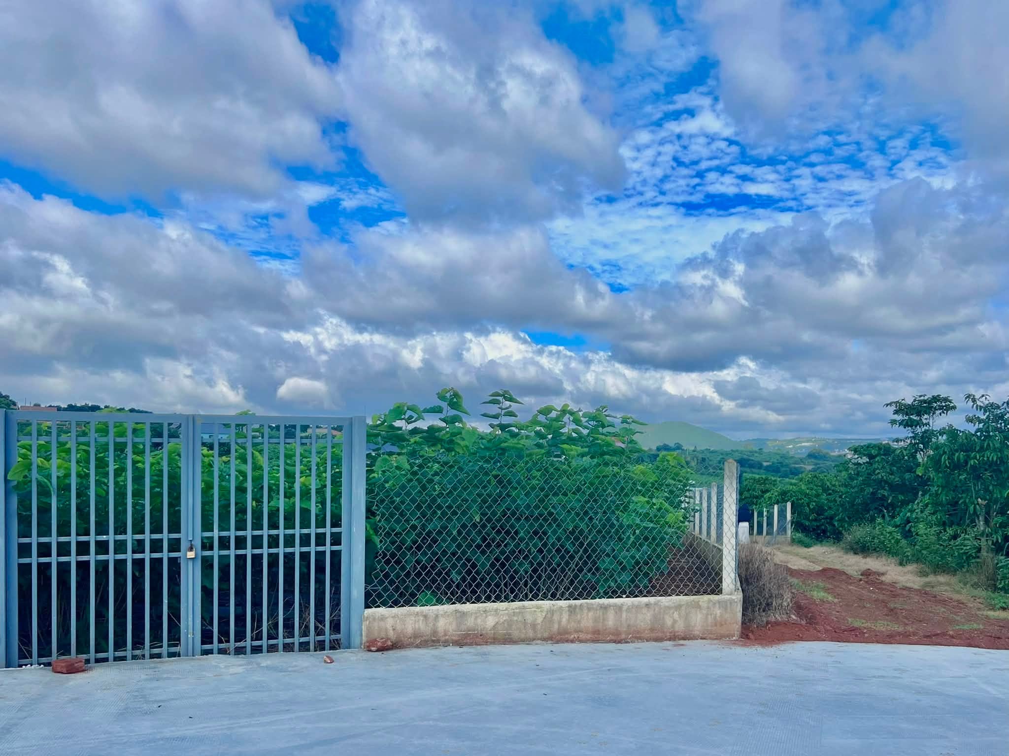 Cần bán Đất đường Tỉnh lộ 725, Xã Đông Thanh, Diện tích 3677m², Giá 4.5 Tỷ