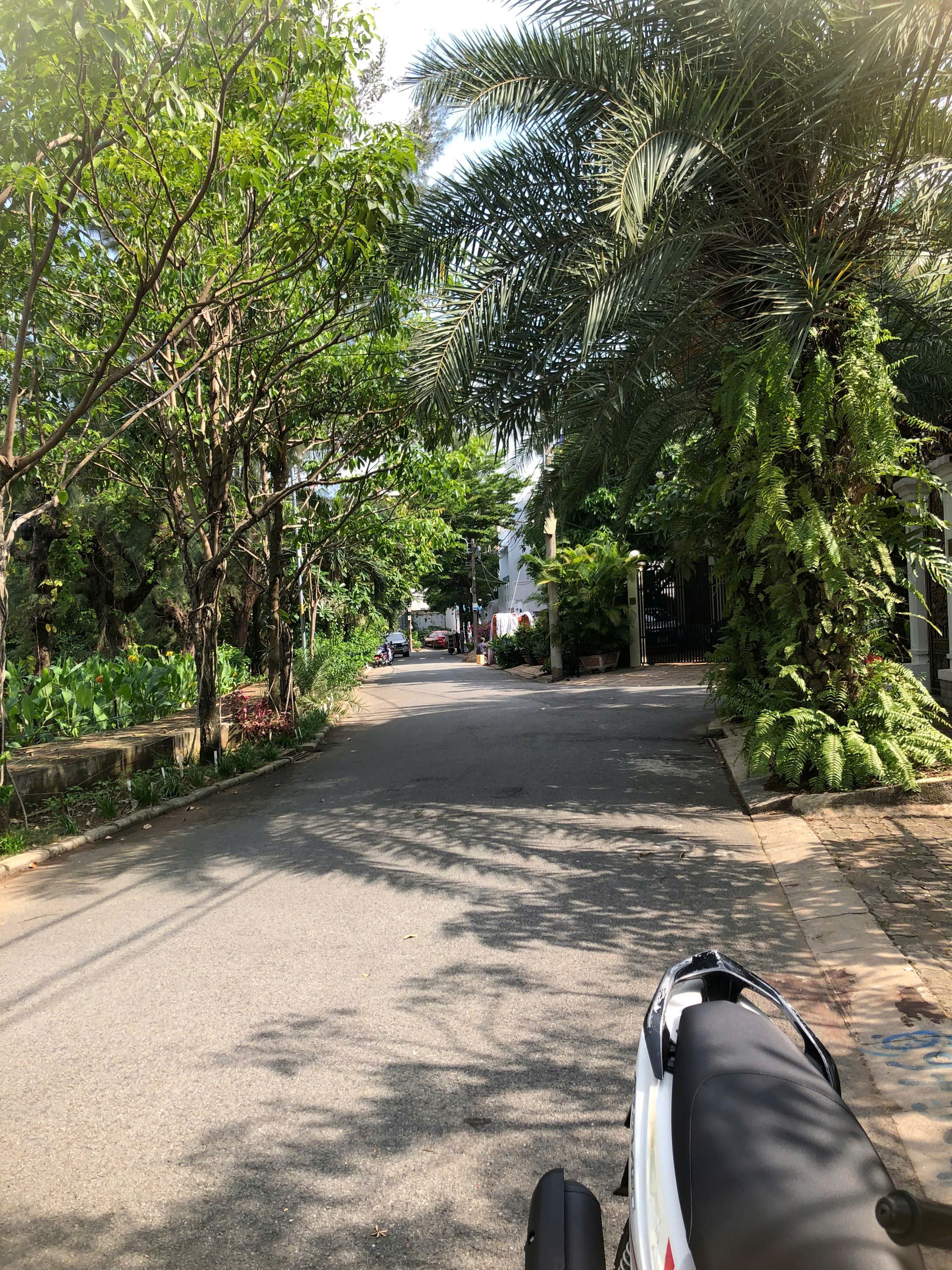 CHỈ 19 TỶ! SỞ HỮU LÔ ĐẤT  D28 NAM LONG PHÚ THUẬN -8X20M -VIEW SÔNG 2