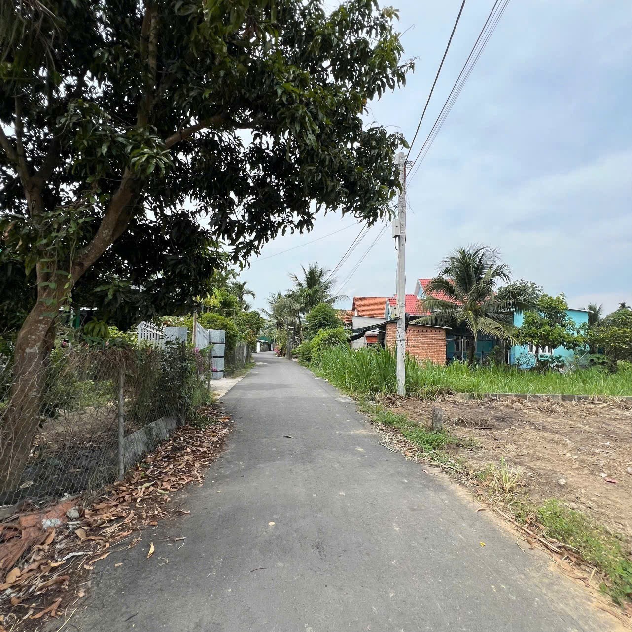 Bán đất Diên Phước full thổ cư giá rẻ rộng rãi xây nhà vườn - mặt tiền đường Thành Hồ 8 3
