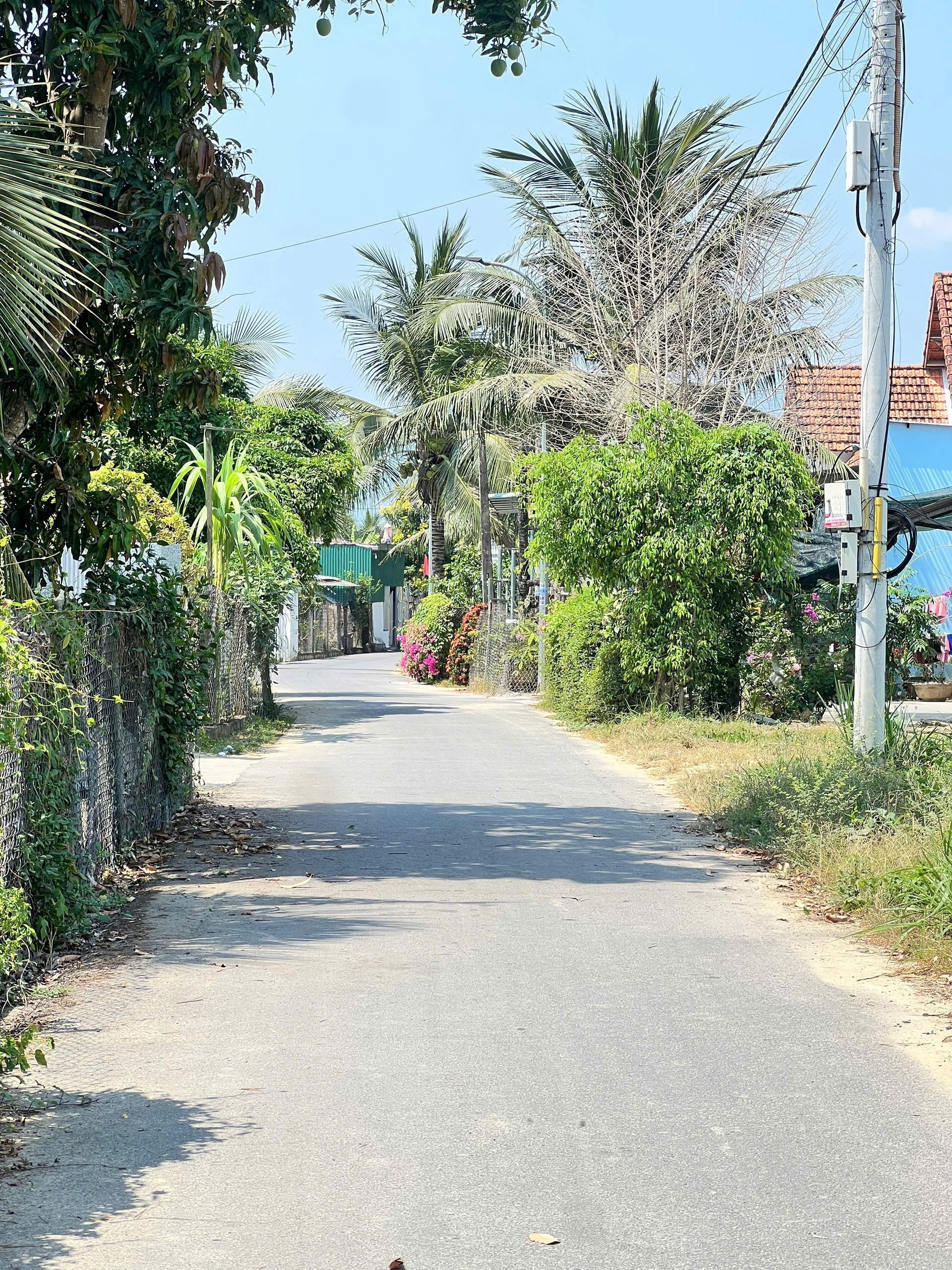 Bán đất Diên Phước full thổ cư giá rẻ rộng rãi xây nhà vườn - mặt tiền đường Thành Hồ 8 4