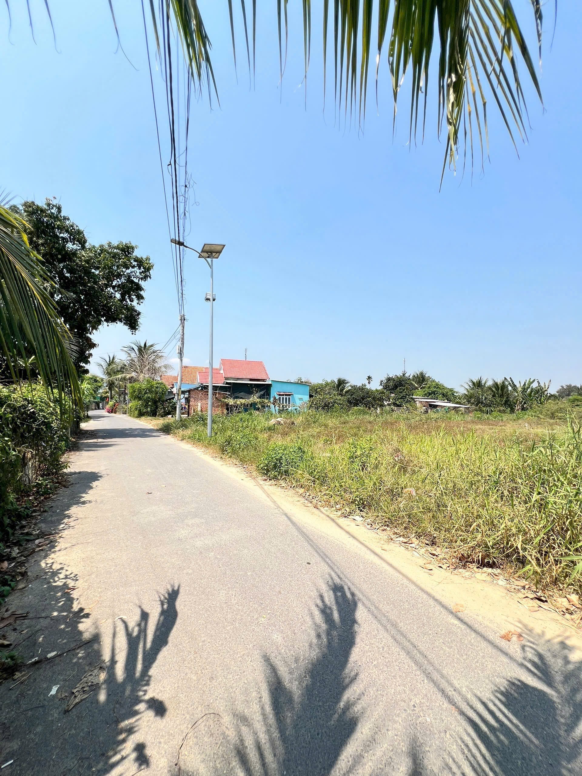 Bán đất Diên Phước full thổ cư giá rẻ rộng rãi xây nhà vườn - mặt tiền đường Thành Hồ 8 8