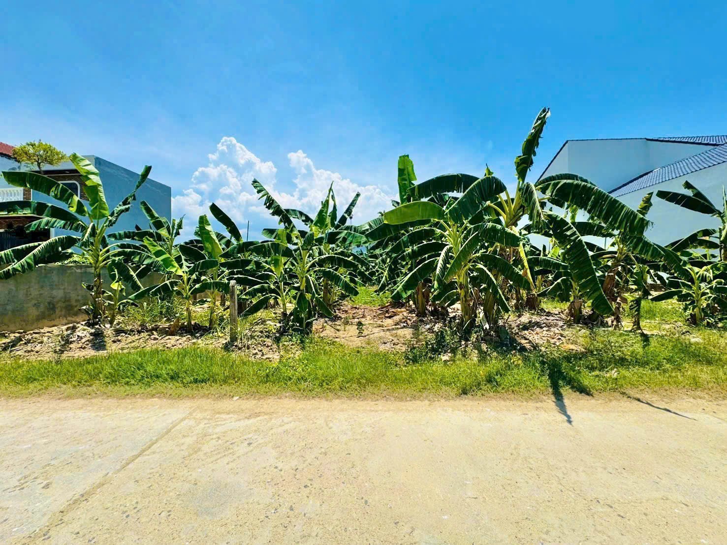 Bán đất Diên An đường thông ở giữa kết nối đường Thông Tin và Lầu Ông Huyện cách 23/10 chỉ 300m 3