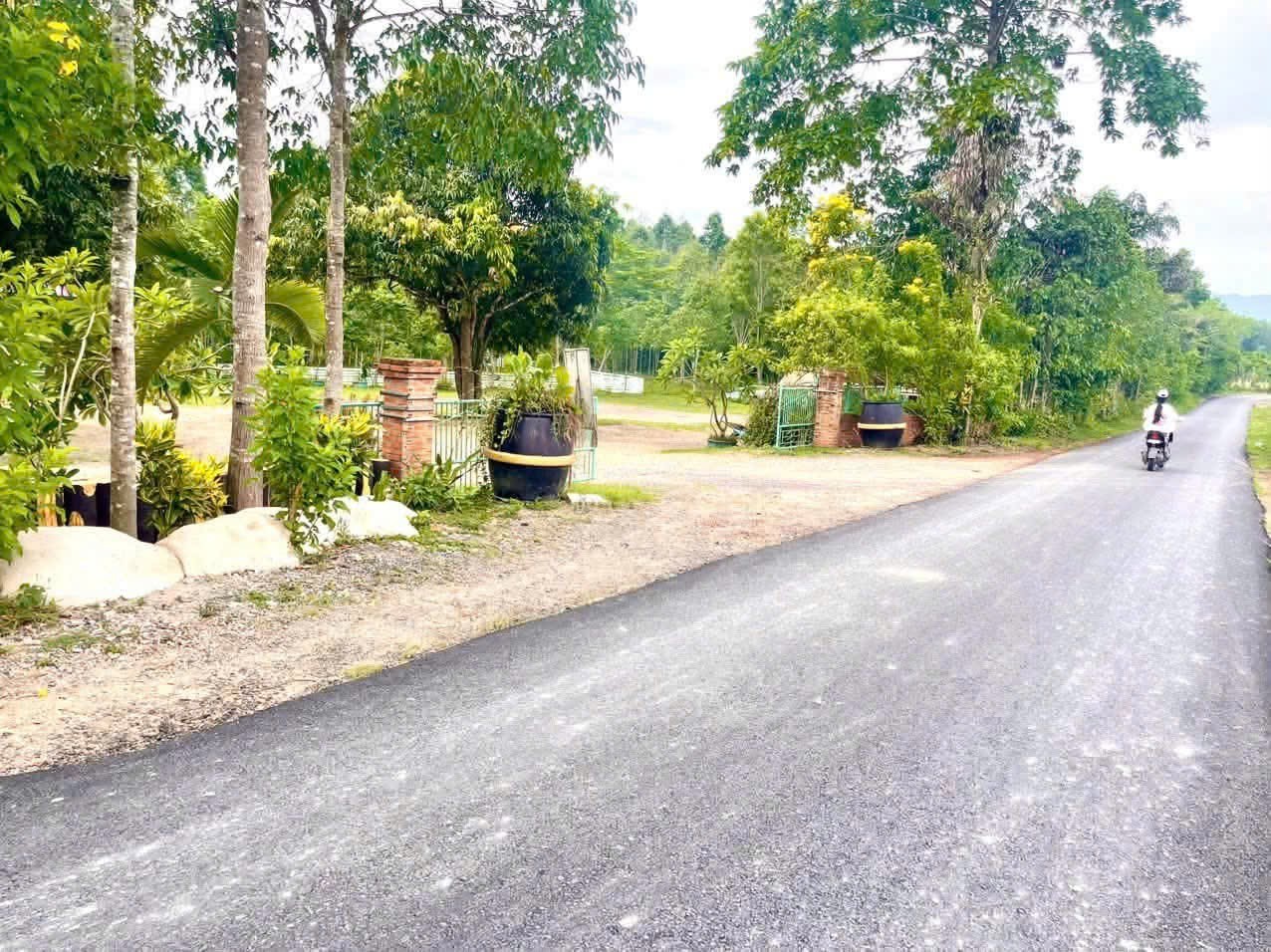 Bán đất Diên Xuân giá rẻ mặt tiền đường nhựa liên xã gần khu du lịch Nhân Tâm cũ 2