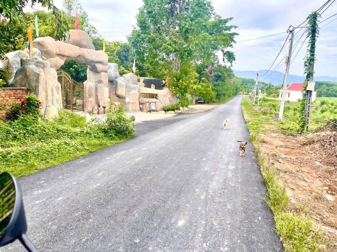 Bán đất Diên Xuân giá rẻ mặt tiền đường nhựa liên xã gần khu du lịch Nhân Tâm cũ 4