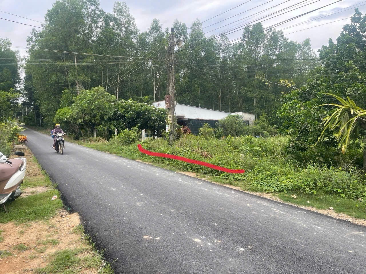 Bán đất Diên Xuân giá rẻ mặt tiền đường nhựa liên xã gần khu du lịch Nhân Tâm cũ 6