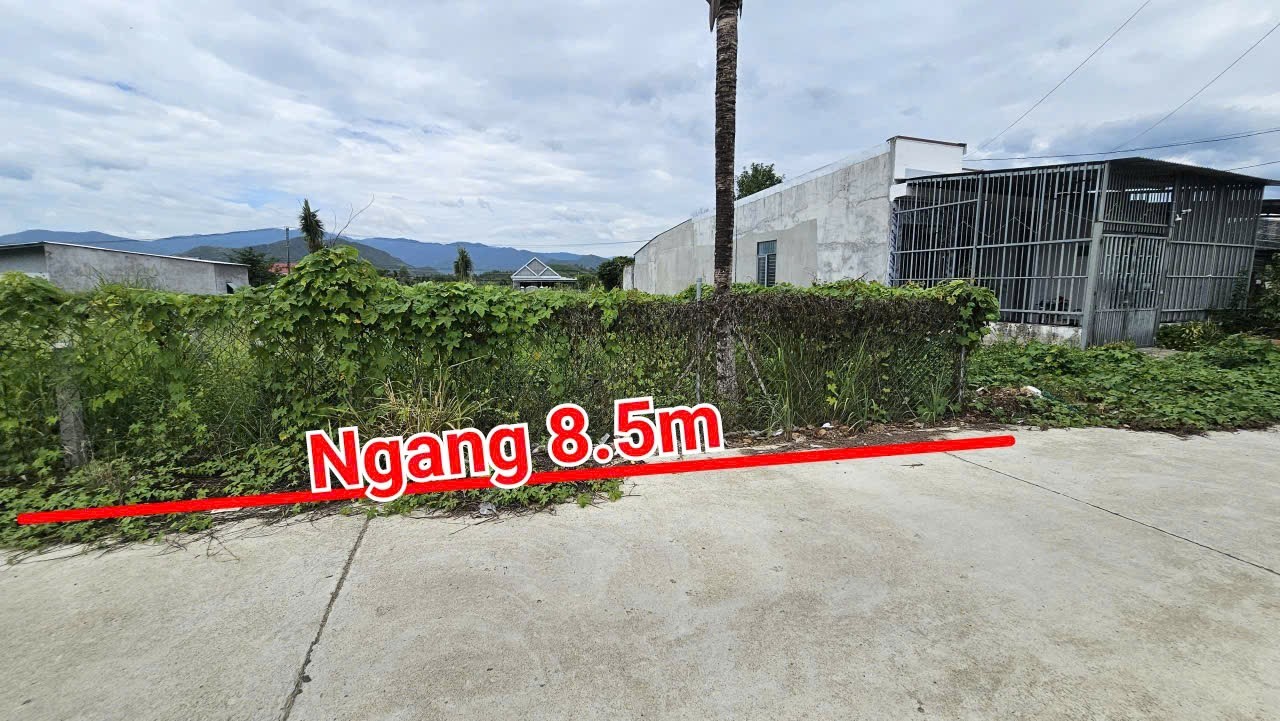 Bán đất Diên Đồng giá rẻ đường thông gần chào thôn Đồng Trăn 3 - hợp xây nhà an cư, đầu tư 3