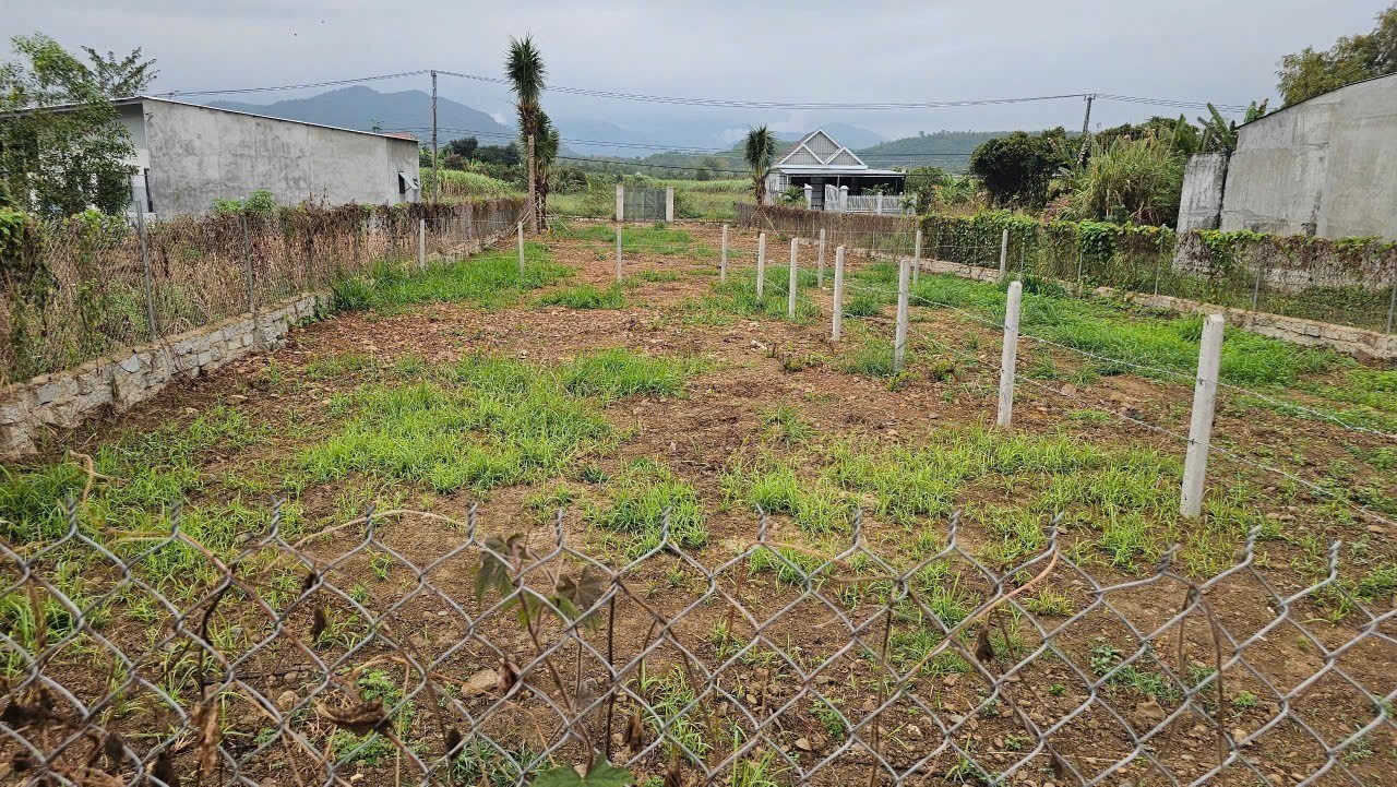 Bán đất Diên Đồng giá rẻ đường thông gần chào thôn Đồng Trăn 3 - hợp xây nhà an cư, đầu tư