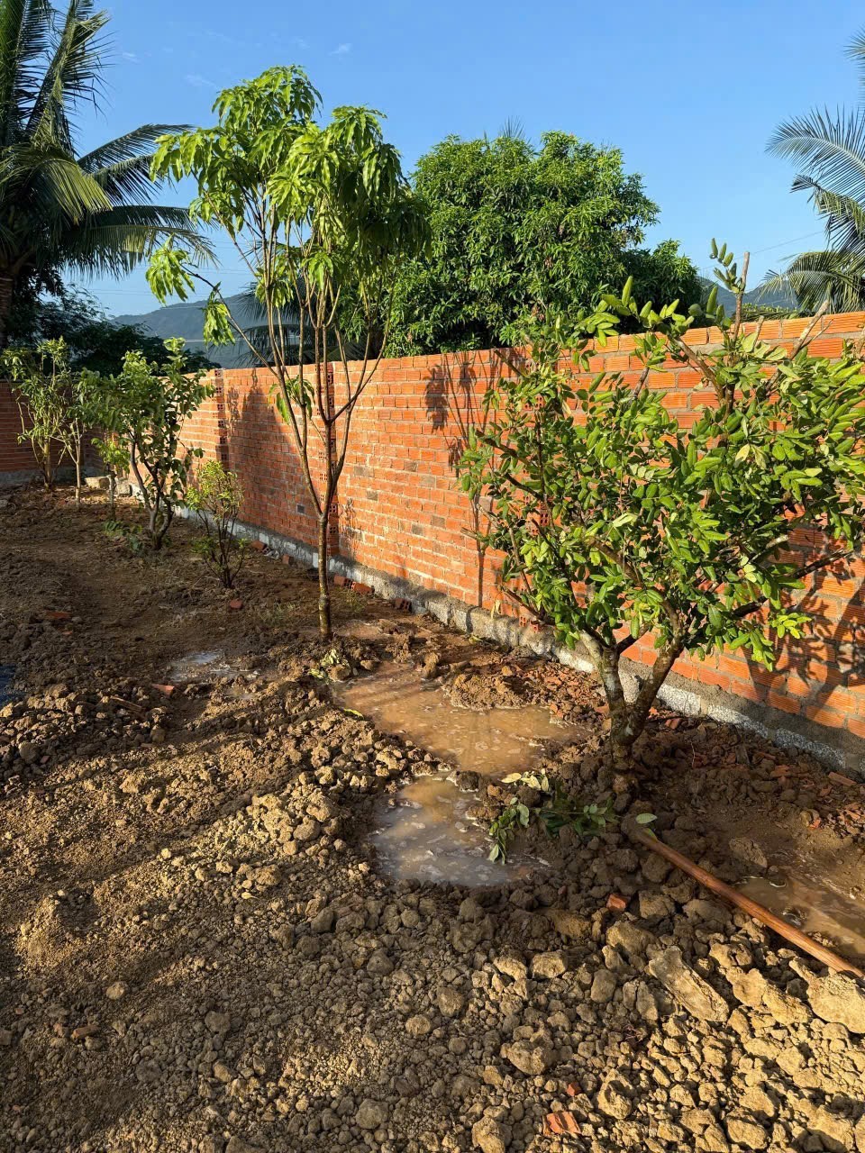 Bán đất Diên Điền full thổ cư thôn Trung 3 sát bên Hương Lộ 5 đi Am Chúa - lô góc đẹp 7