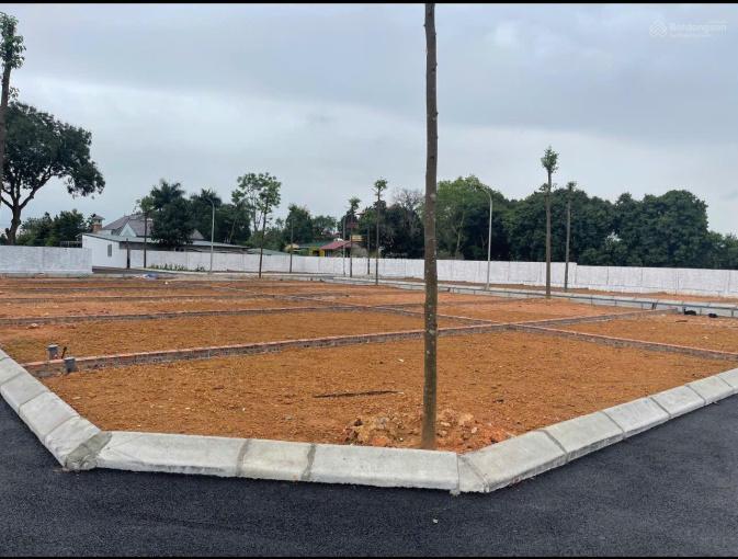 Bán đất gần ĐH Lao động xã hội và Vành đai 5 DT100m2 xây ccmn đầu tư đỉnh chỉ nhỉnh 2 tỷ 3
