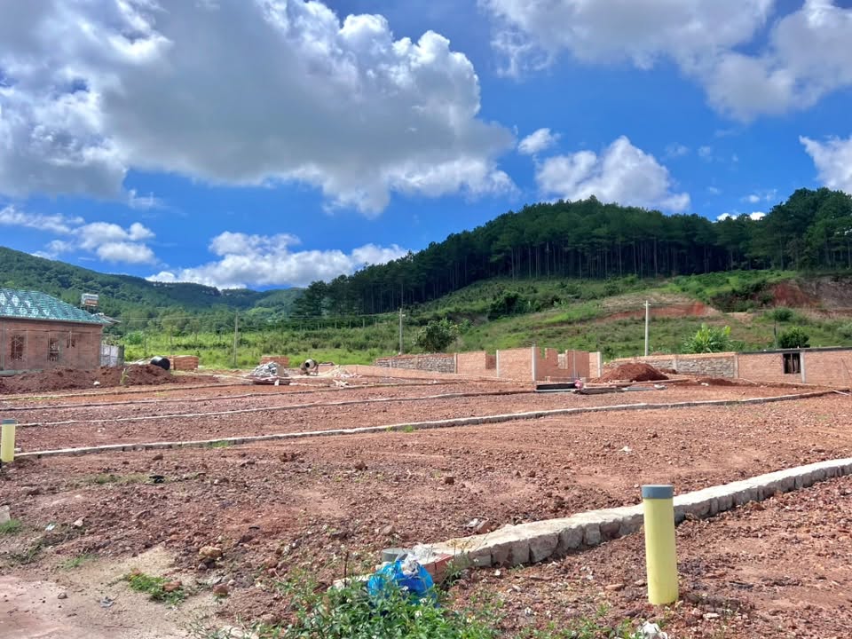 Cần bán Đất đường Tỉnh lộ 725, Xã Gia Lâm, Diện tích 542m², Giá 1.4 Tỷ 2