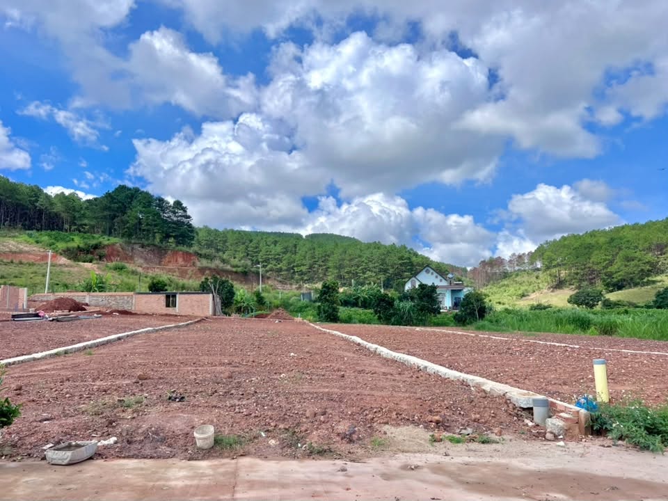 Cần bán Đất đường Tỉnh lộ 725, Xã Gia Lâm, Diện tích 542m², Giá 1.4 Tỷ 4