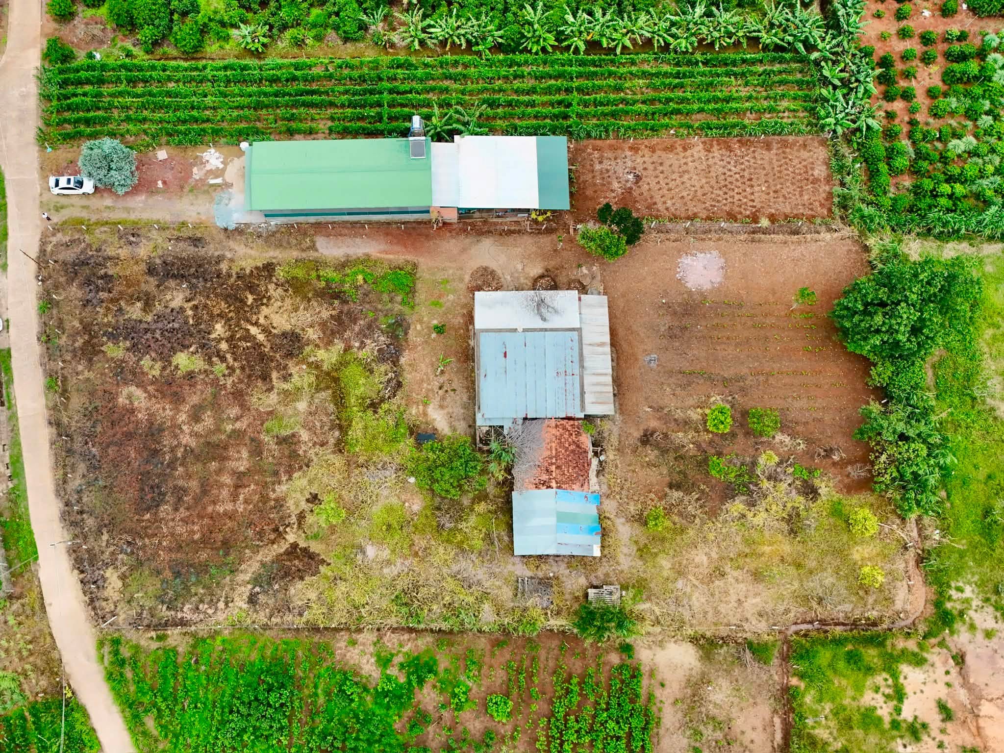 Cần bán Đất đường Tỉnh lộ 725, Xã Đông Thanh, Diện tích 3276m², Giá 6 Tỷ
