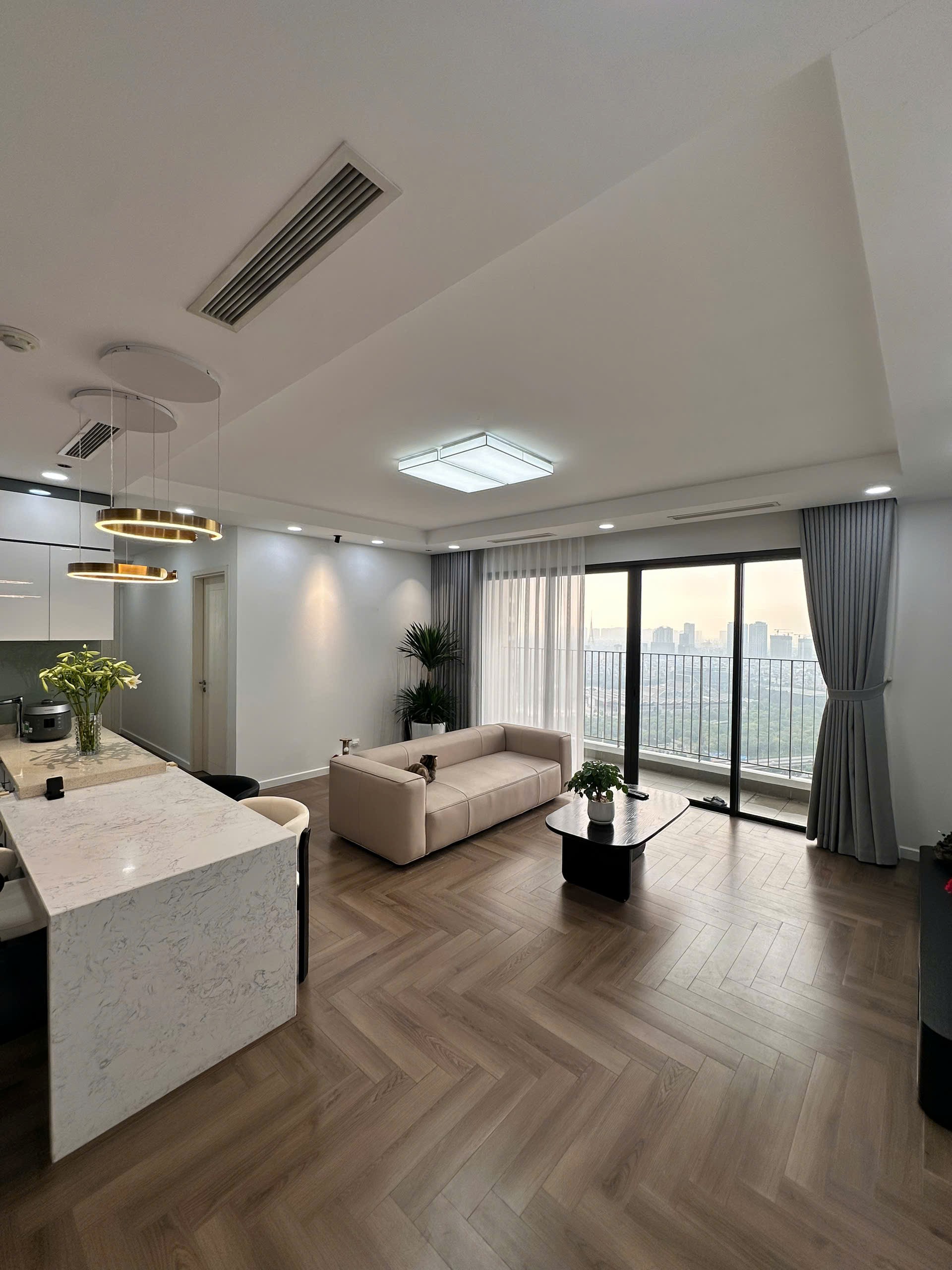 Cần bán Căn hộ chung cư dự án Vinhomes D'Capitale, Diện tích 110m², Giá 12 Tỷ 6