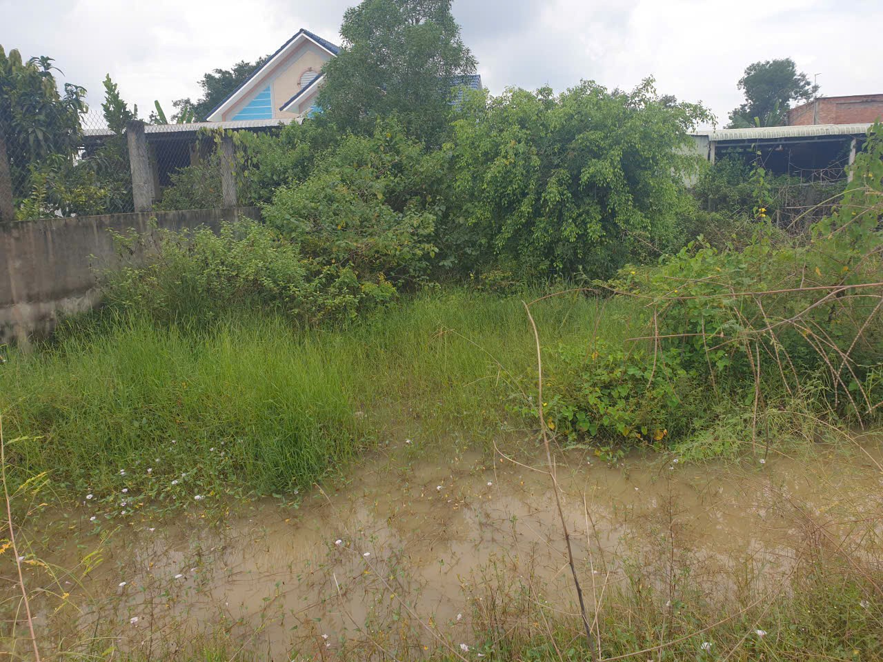 Bán đất mặt tiền Hồ Chí Minh, xã An Ninh Đông dt 499m2 full thổ giá 3,85 tỷ 6