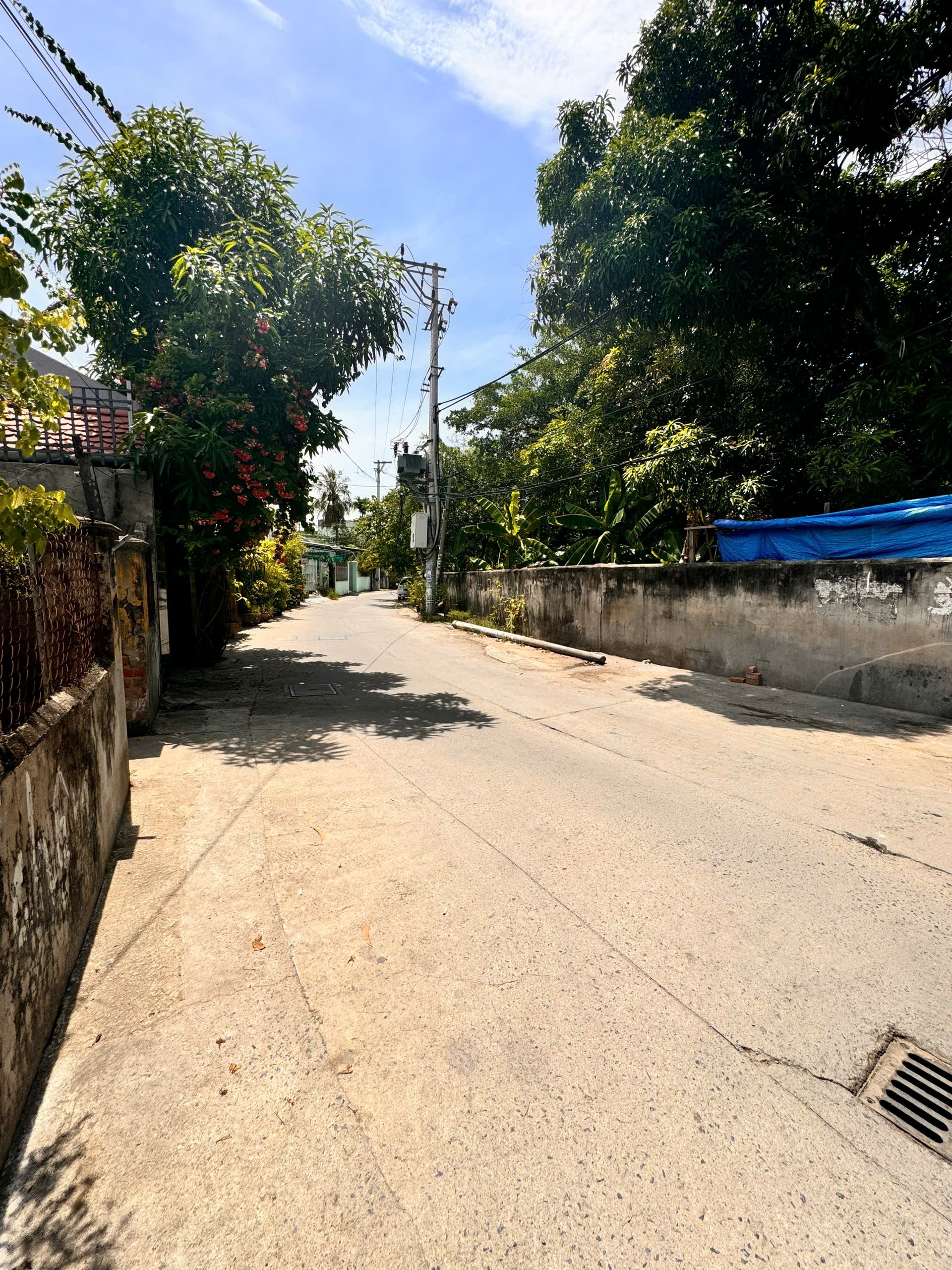 BÁN ĐẤT FULL THỔ HẺM PHÚ XƯƠNG, VĨNH HẢI - QH RỘNG 27m (PHƯỜNG BẮC NHA TRANG) 3