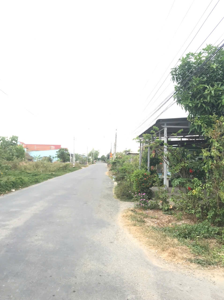 Đất lúa 1000m2 mt đường 7m khu đô thị Long Hựu giá lời khi mua 2 tỏi 5