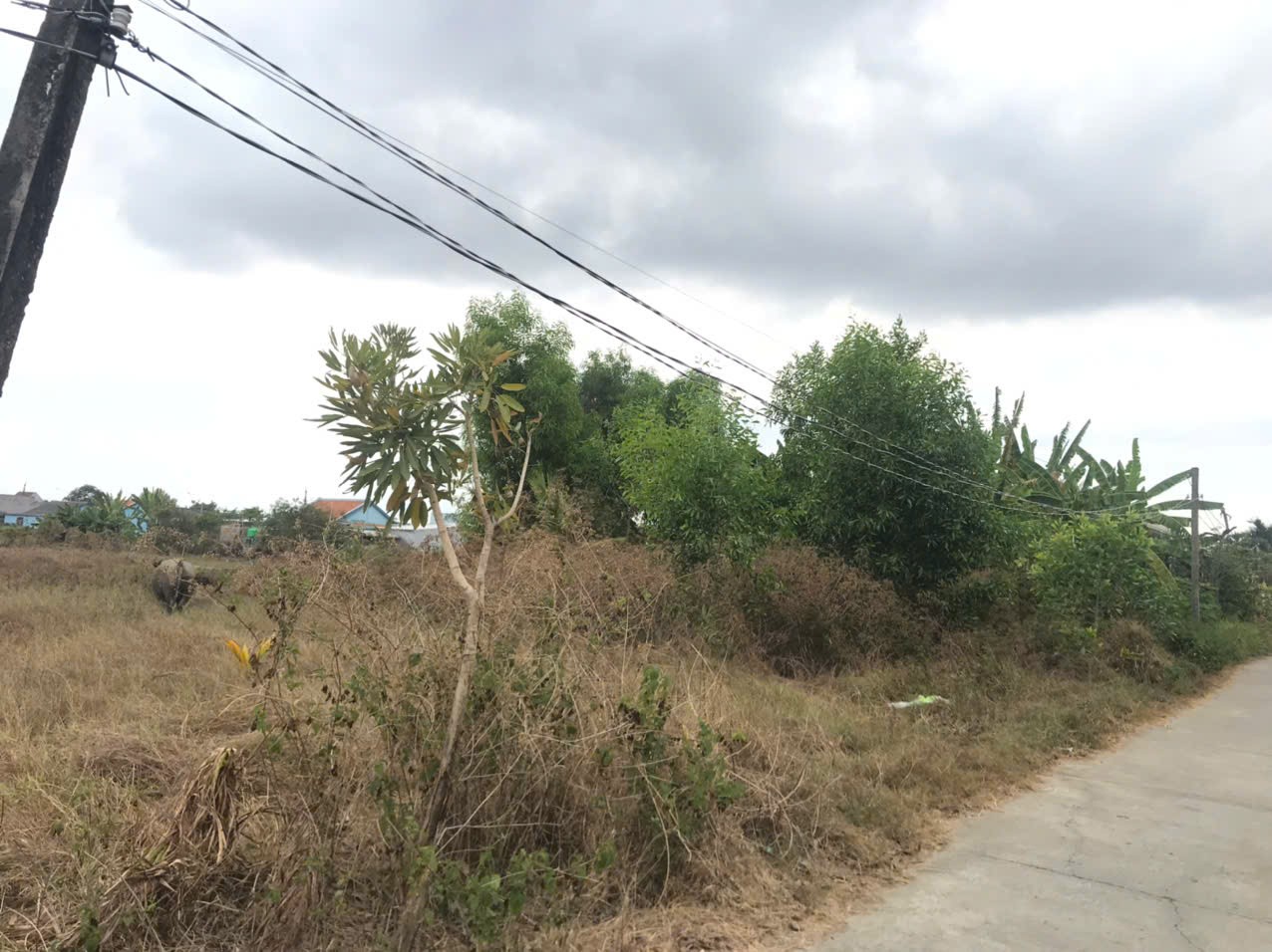 Đất thổ cư 751m2 mt đường xe hơi khu đô thị Long Hựu giá rẻ 3 tỏi 3