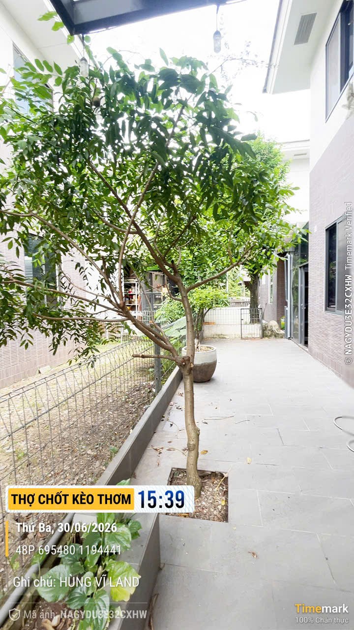 Cho thuê Biệt thự Phường Phú Hữu, Quận 9, Diện tích 169m², Giá 30 Triệu/tháng 6