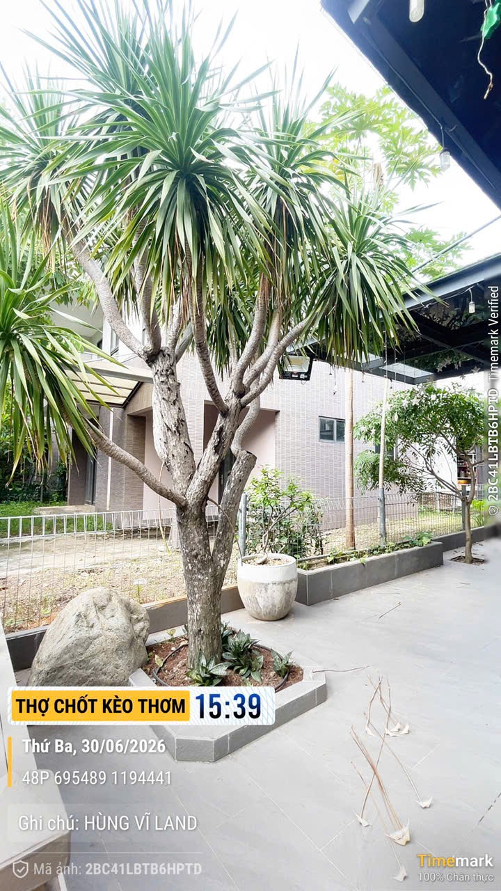 Cho thuê Biệt thự Phường Phú Hữu, Quận 9, Diện tích 169m², Giá 30 Triệu/tháng 7