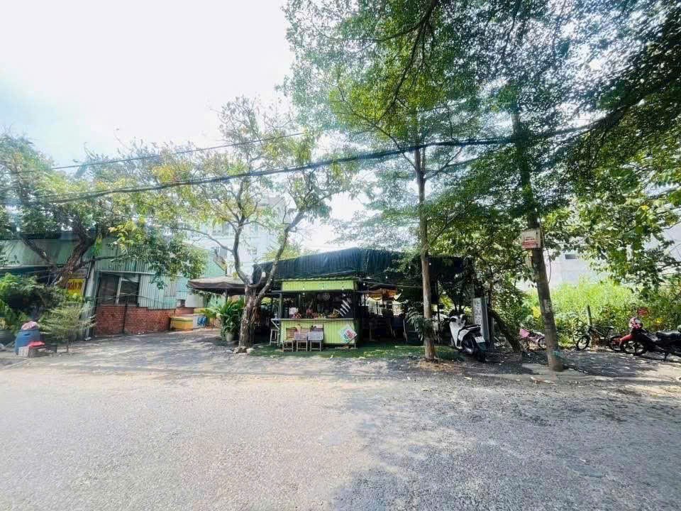 Cần bán Đất Phường Phước Long B, Quận 9, Diện tích 320m², Giá 025 Tỷ 6