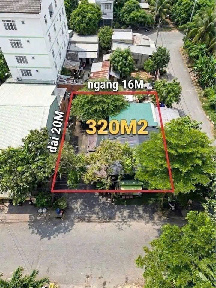 Cần bán Đất Phường Phước Long B, Quận 9, Diện tích 320m², Giá 025 Tỷ