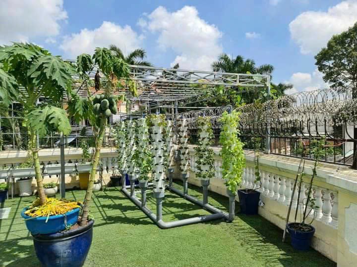 Cần bán Biệt thự Phường Thảo Điền, Quận 2, Diện tích 1155m², Giá 245 Tỷ 7